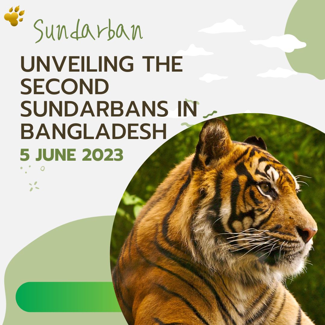 Unveiling The Second Sundarbans In Bangladesh: The Breathtaking Beauty ...