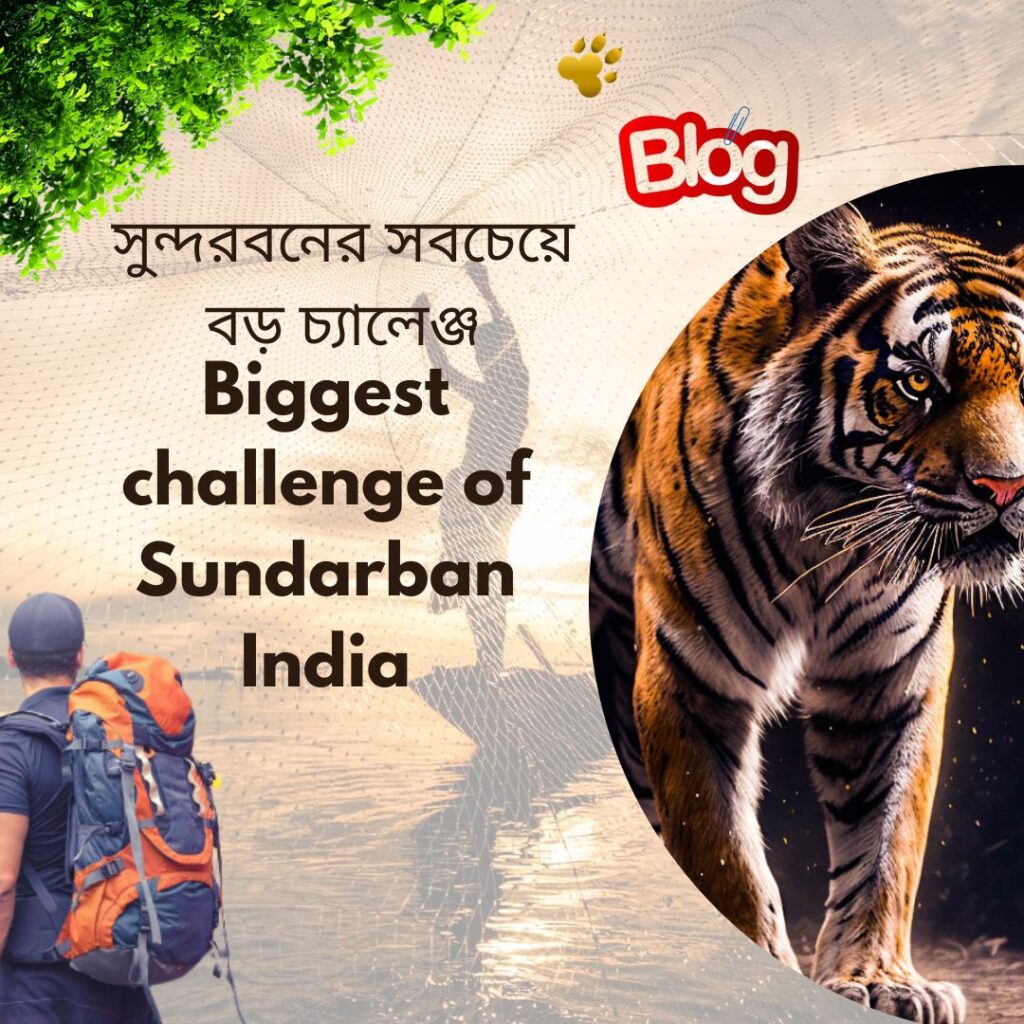 biggest challenge of Sundarban India