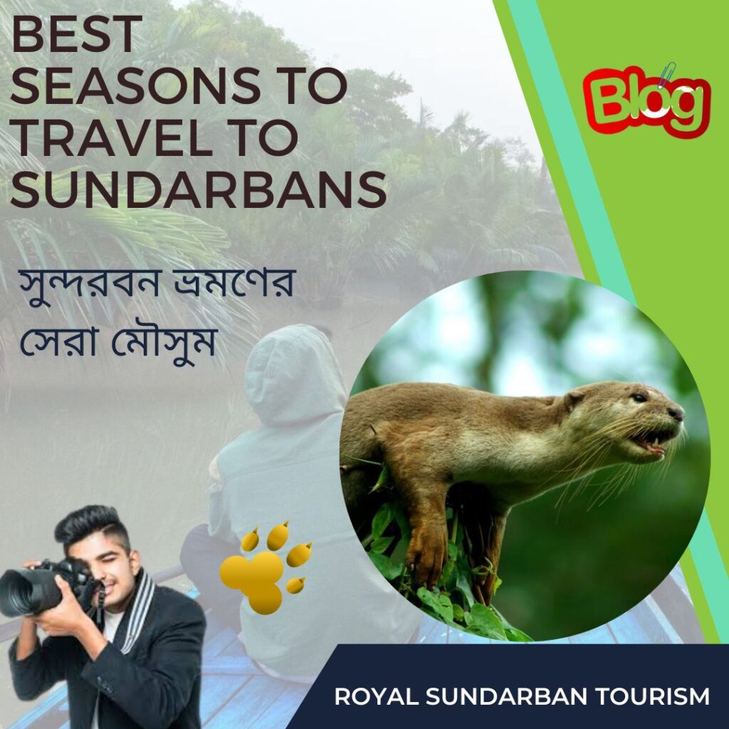Best Seasons to Travel to Sundarbans