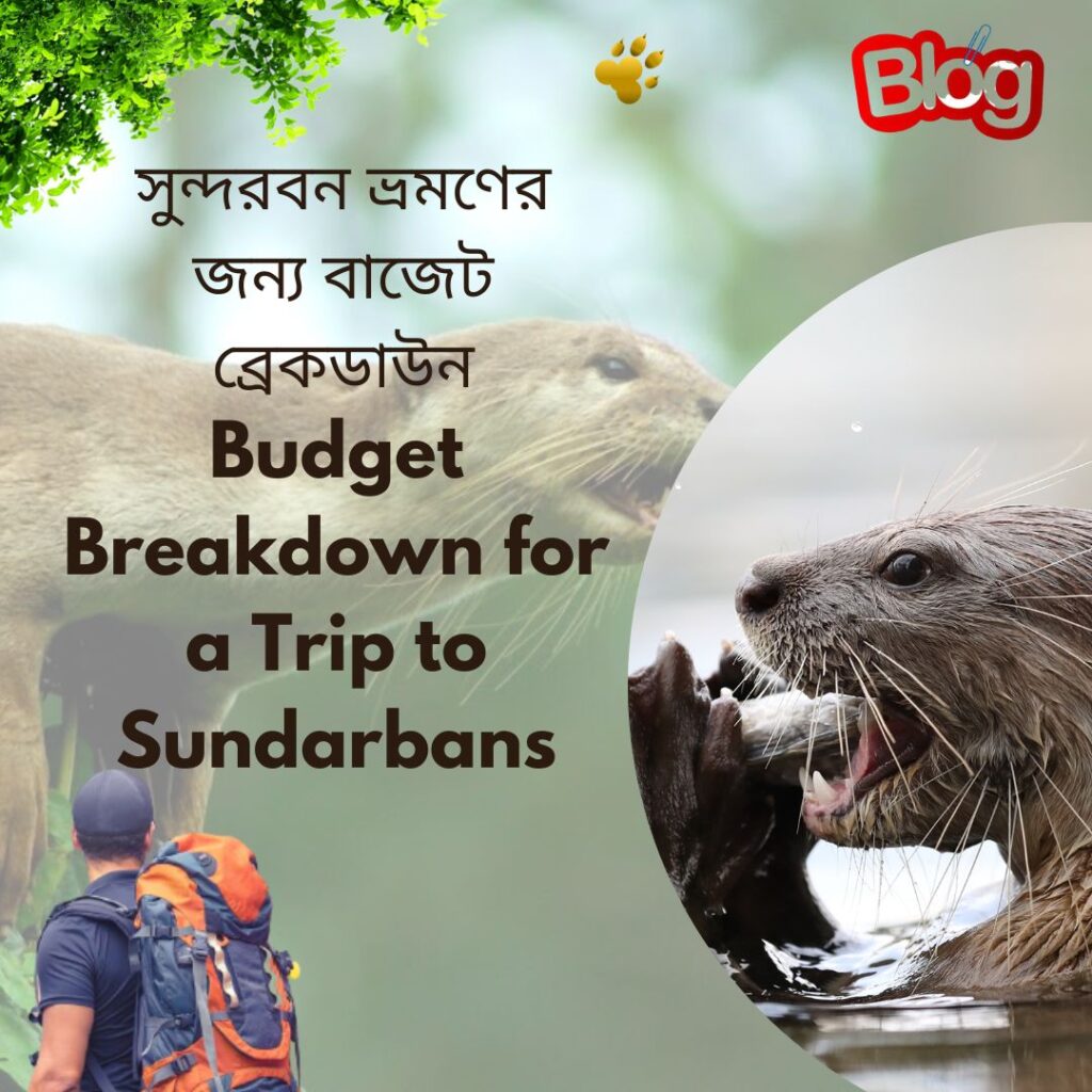 Budget Breakdown for a Trip to Sundarbans