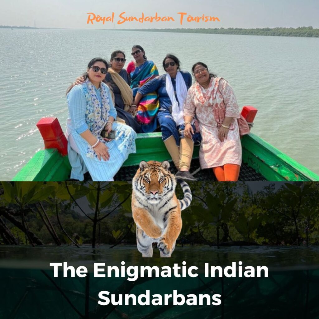 The Enigmatic Indian Sundarbans