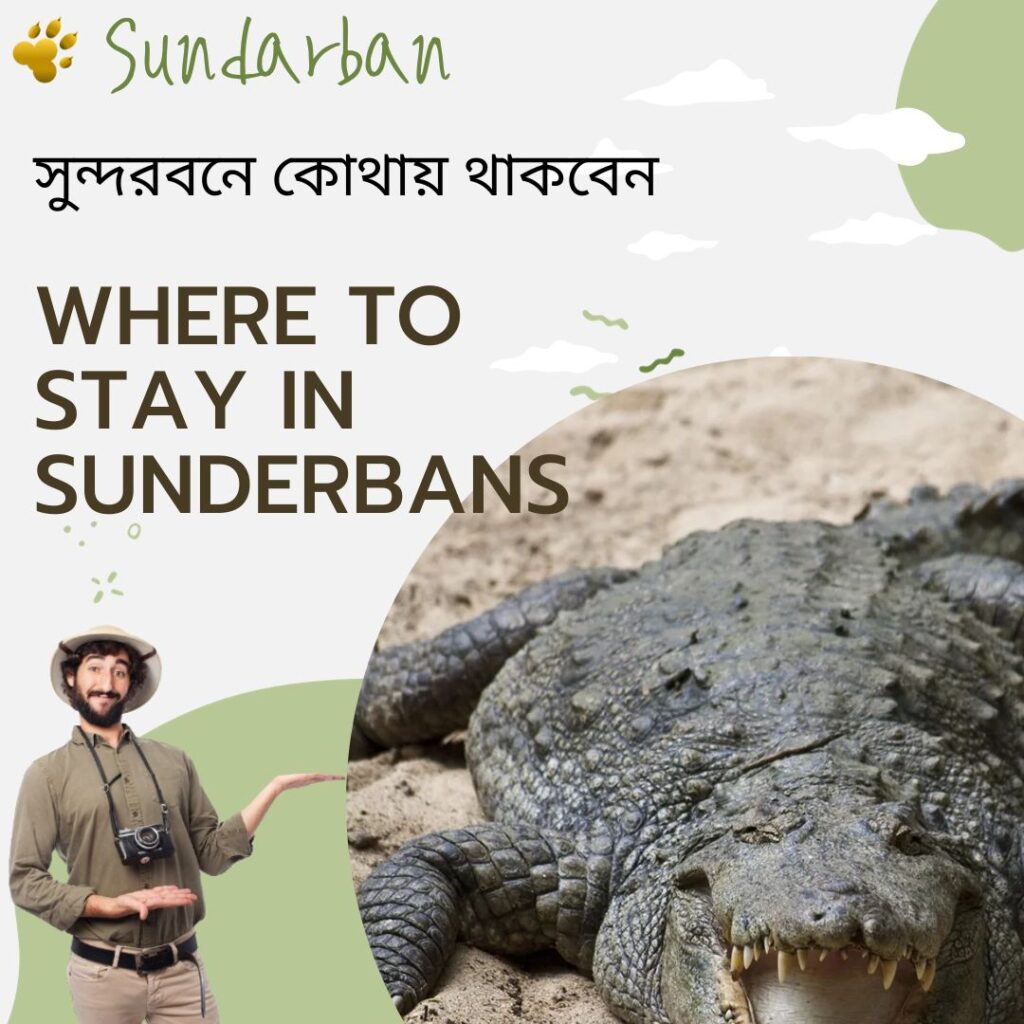 Where to Stay in Sunderbans