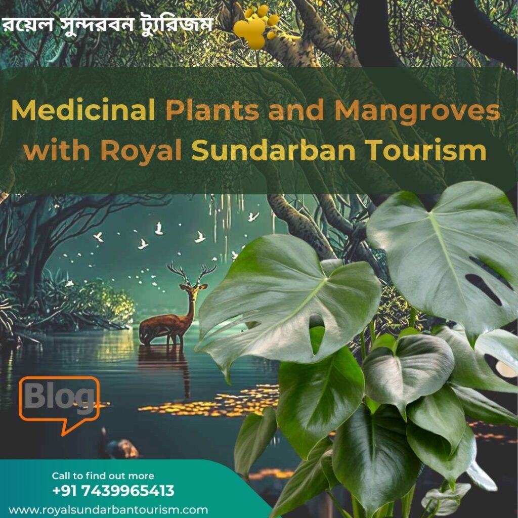 Medicinal Plants and Mangroves with Royal Sundarban Tourism