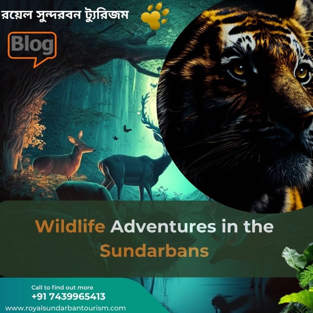 Wildlife Adventures in the Sundarbans