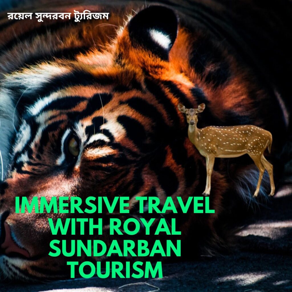 Immersive Travel with Royal Sundarban Tourism