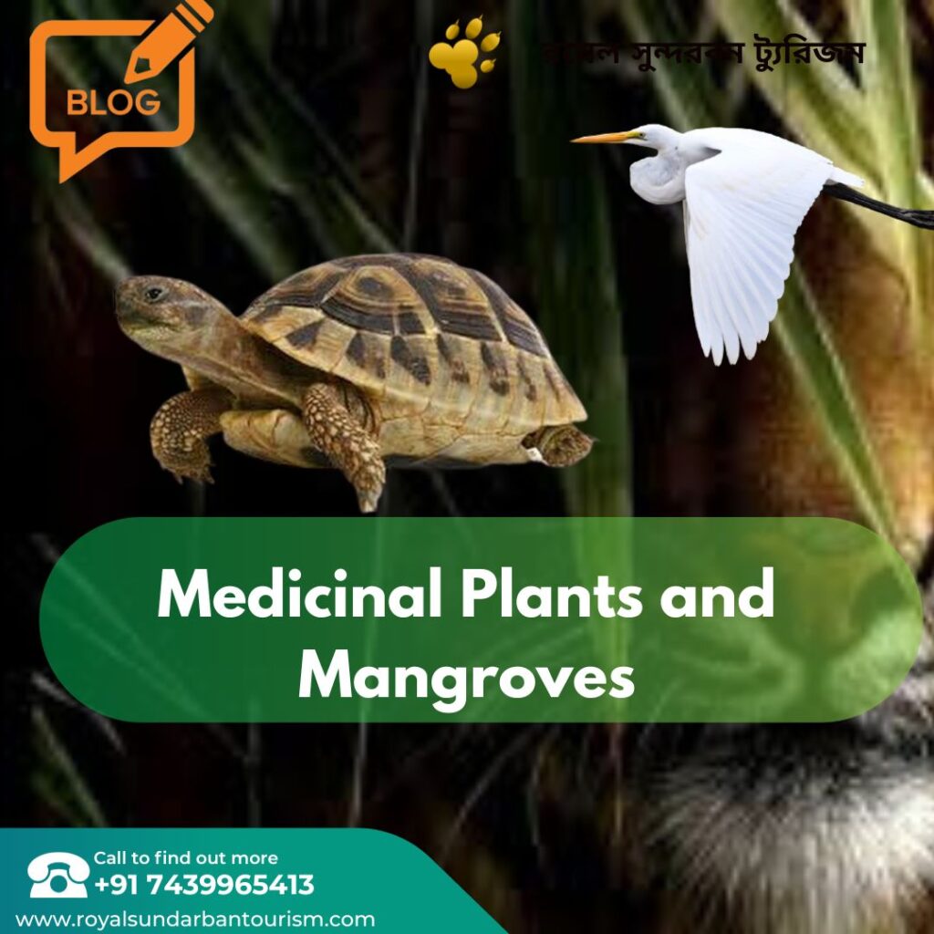 Medicinal Plants and Mangroves