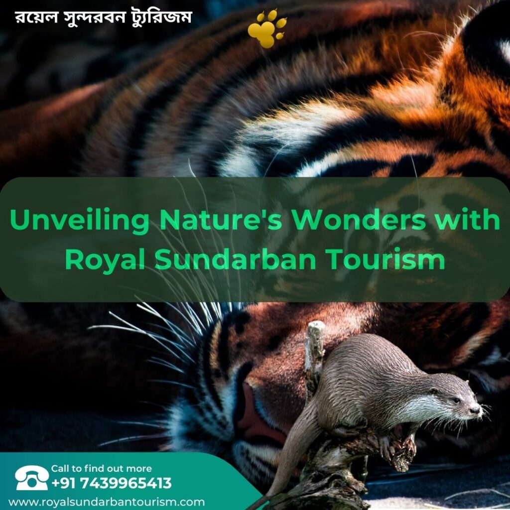 Nature's Wonders with Royal Sundarban Tourism