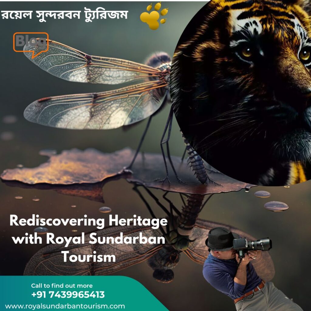 Rediscovering Heritage with Royal Sundarban Tourism