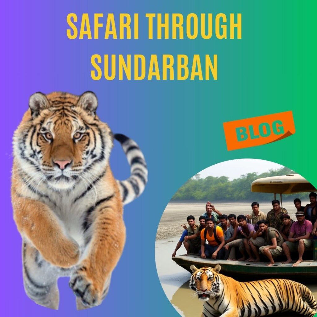Safari Through Sundarban