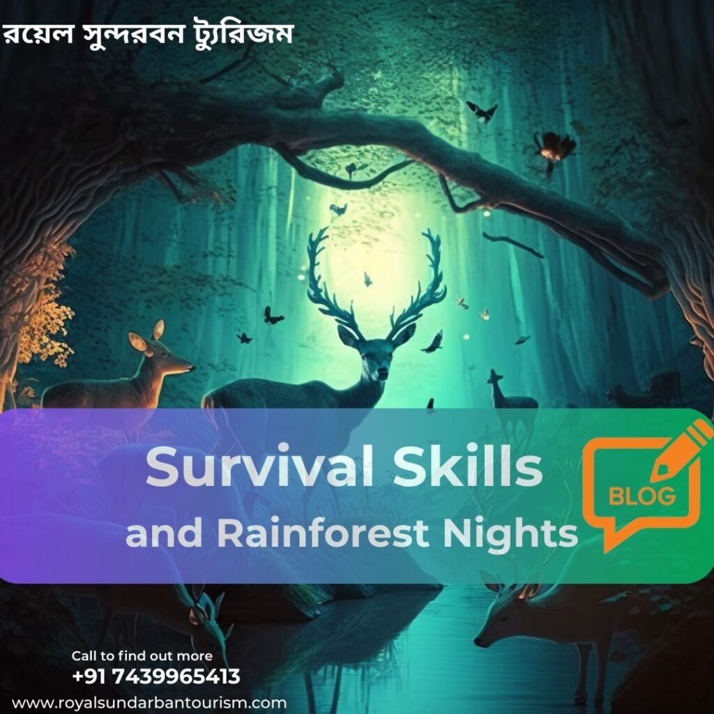 Survival Skills and Rainforest Nights
