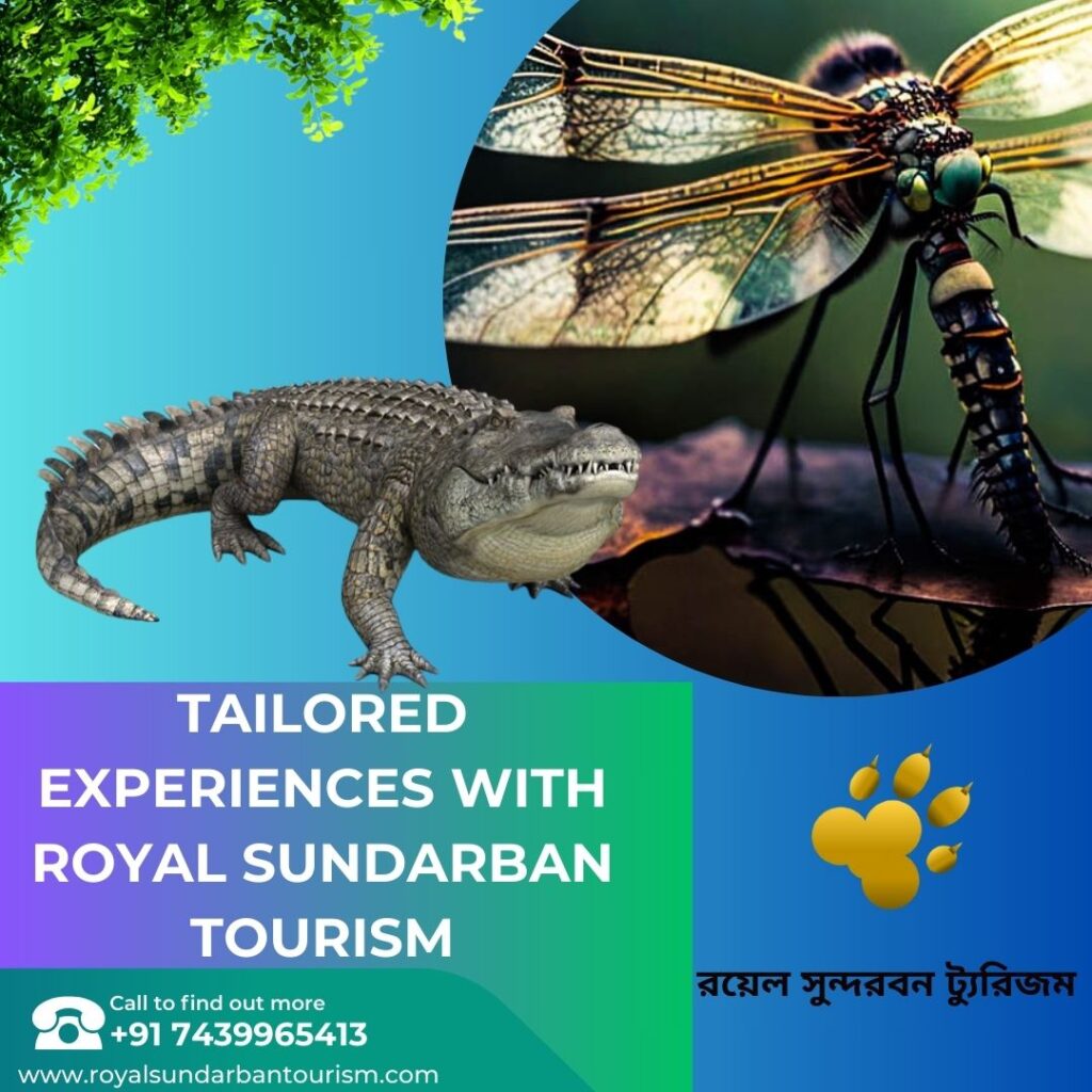 Tailored Experiences with Royal Sundarban Tourism