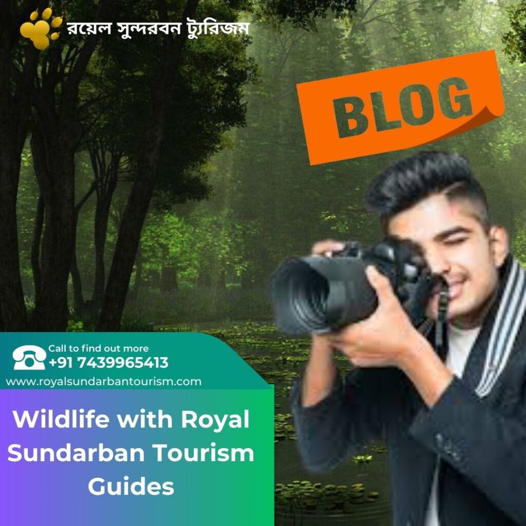 Wildlife with Royal Sundarban Tourism Guides