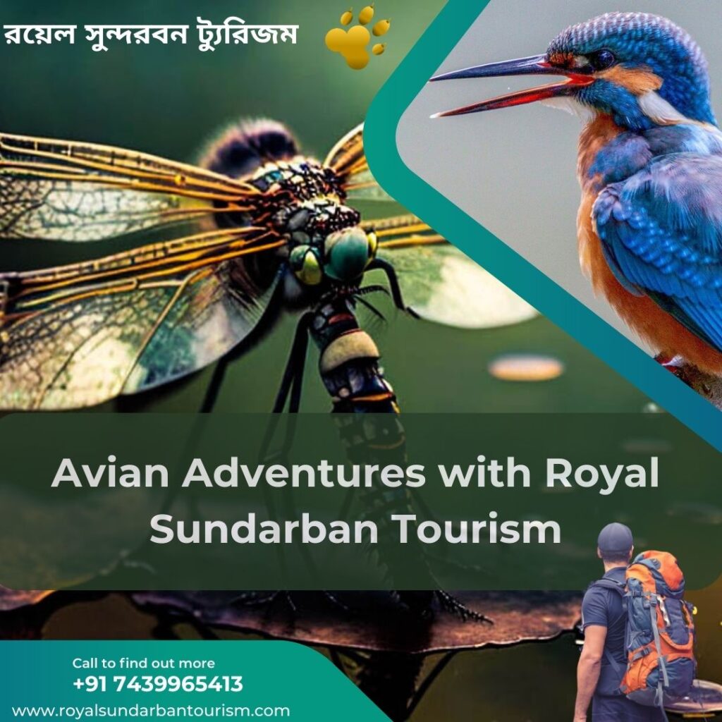 Avian Adventures with Royal Sundarban Tourism