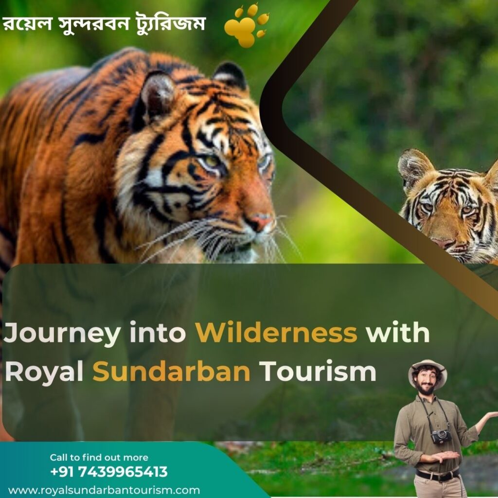 Journey into Wilderness with Royal Sundarban Tourism