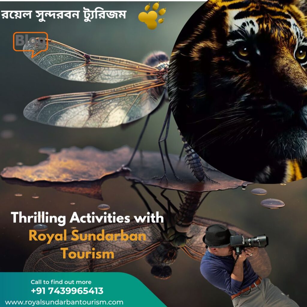 Thrilling Activities with Royal Sundarban Tourism