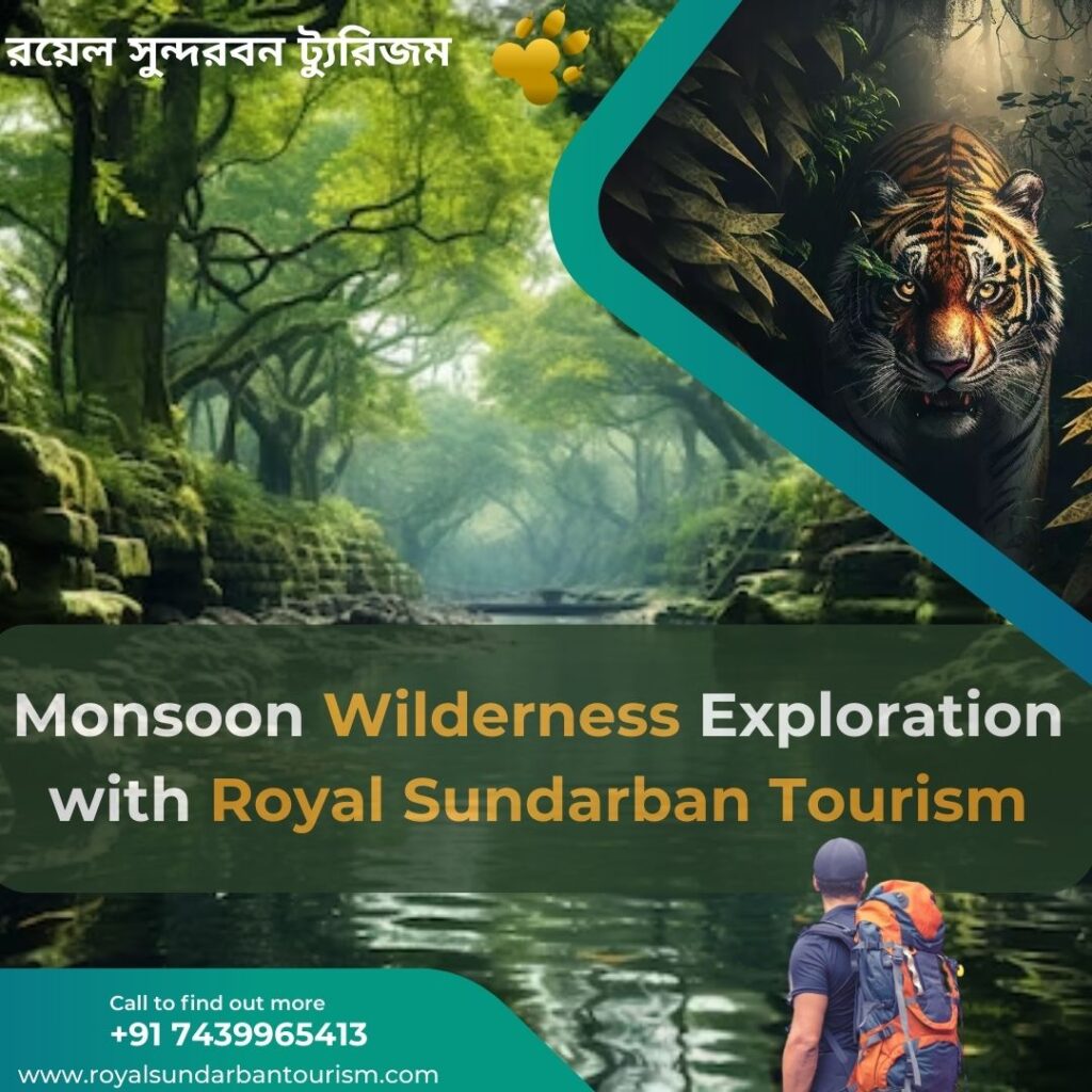 Monsoon Wilderness Exploration with Royal Sundarban Tourism