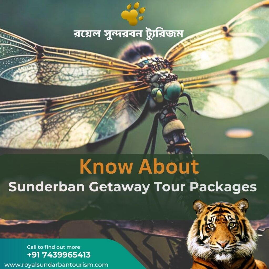 Sunderban Getaway Tour Packages