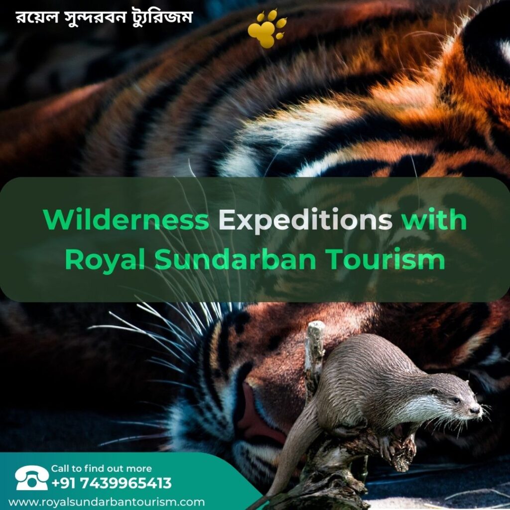 Wilderness Expeditions with Royal Sundarban Tourism