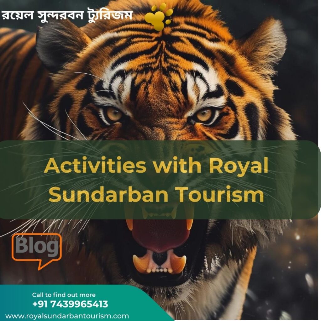 Activities with Royal Sundarban Tourism