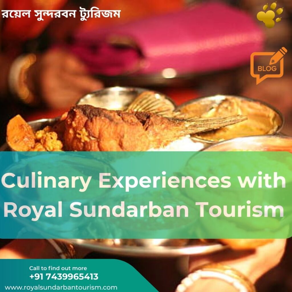 Culinary Experiences with Royal Sundarban Tourism