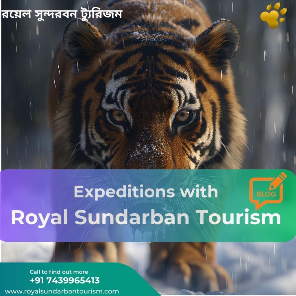 Expeditions with Royal Sundarban Tourism