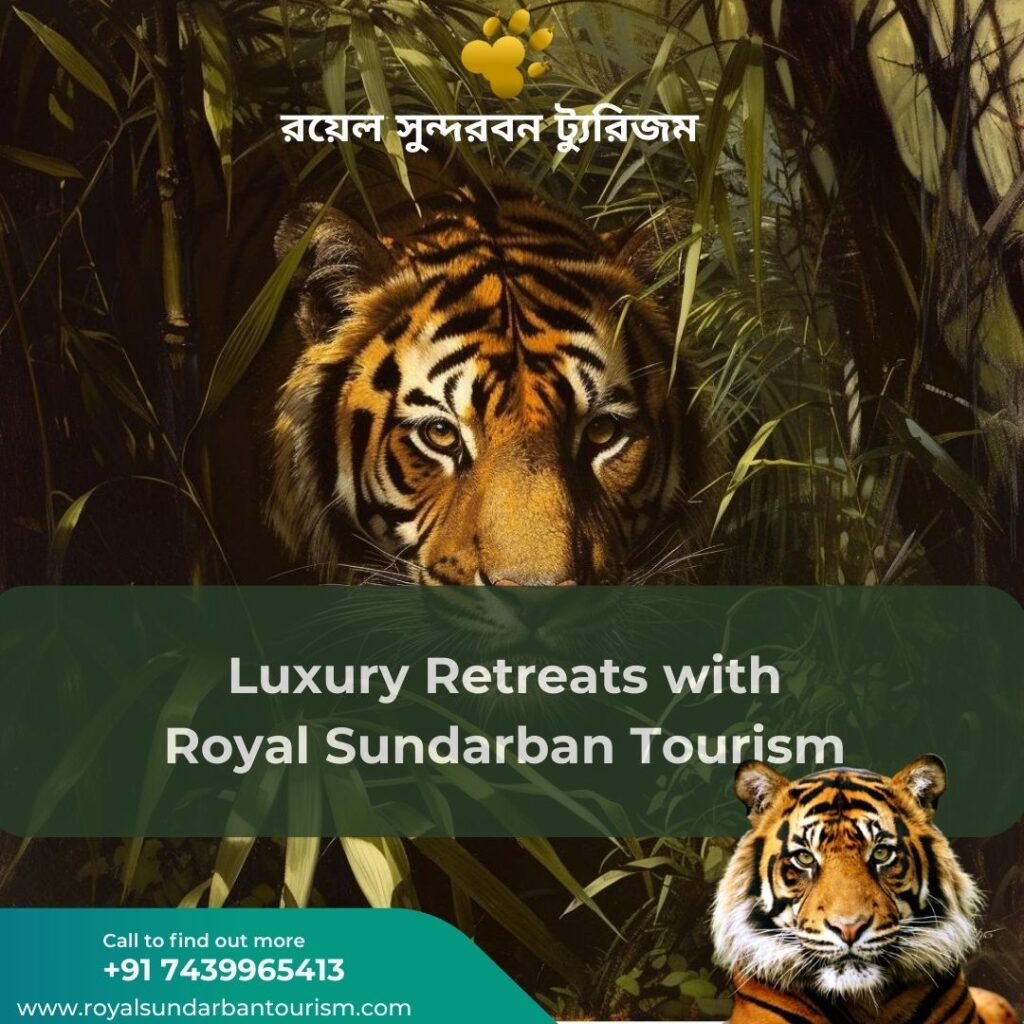 Luxury Retreats with Royal Sundarban Tourism