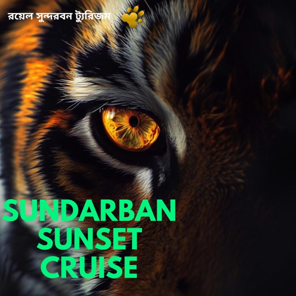 Sundarban Sunset Cruise