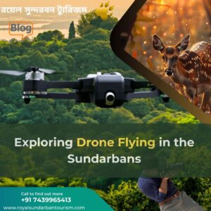 Exploring Drone Flying in the Sundarbans