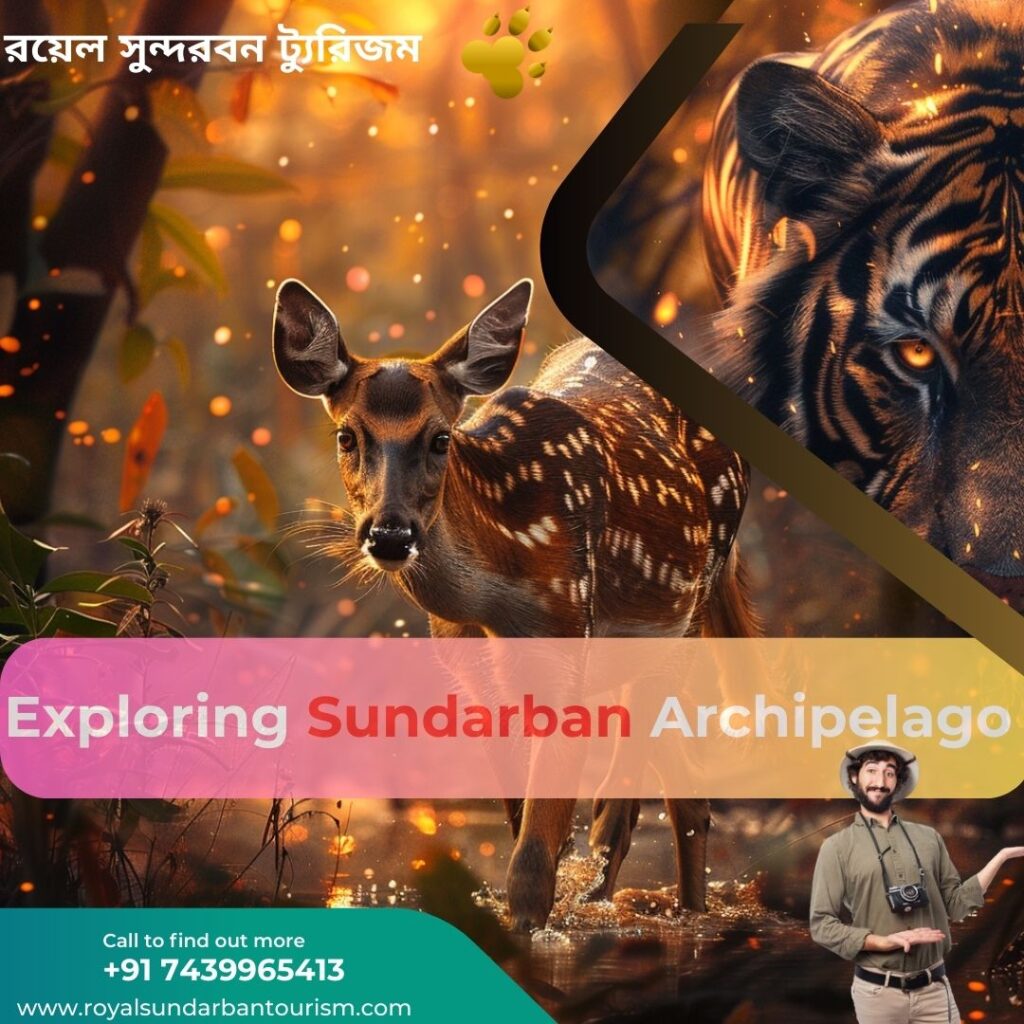 Exploring Sundarban Archipelago