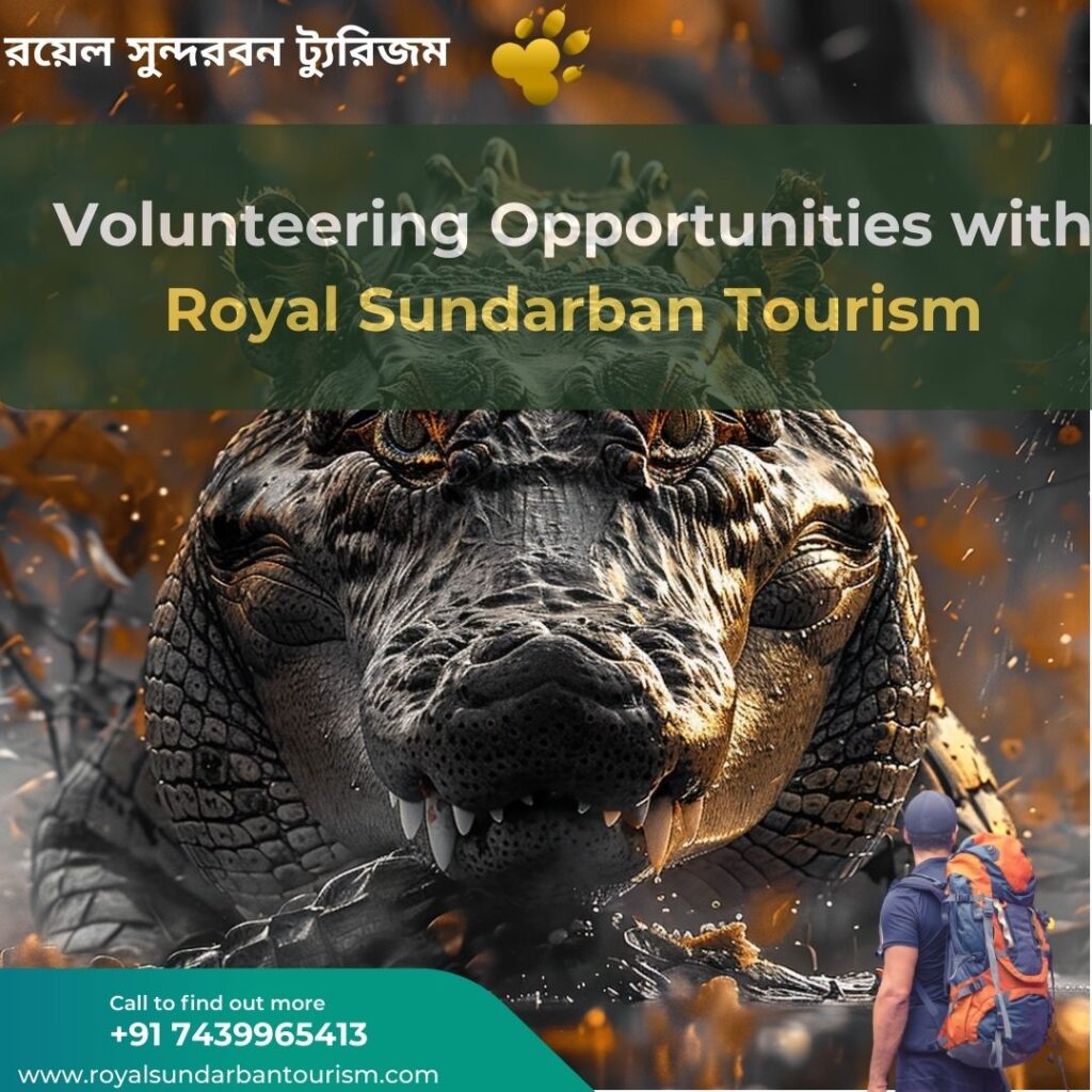 Volunteering Opportunities with Royal Sundarban Tourism