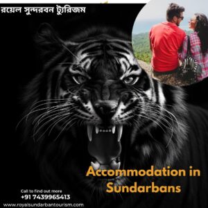 Accommodation in Sundarbans