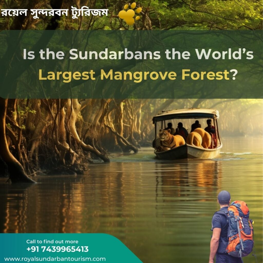 Largest mangrove forest