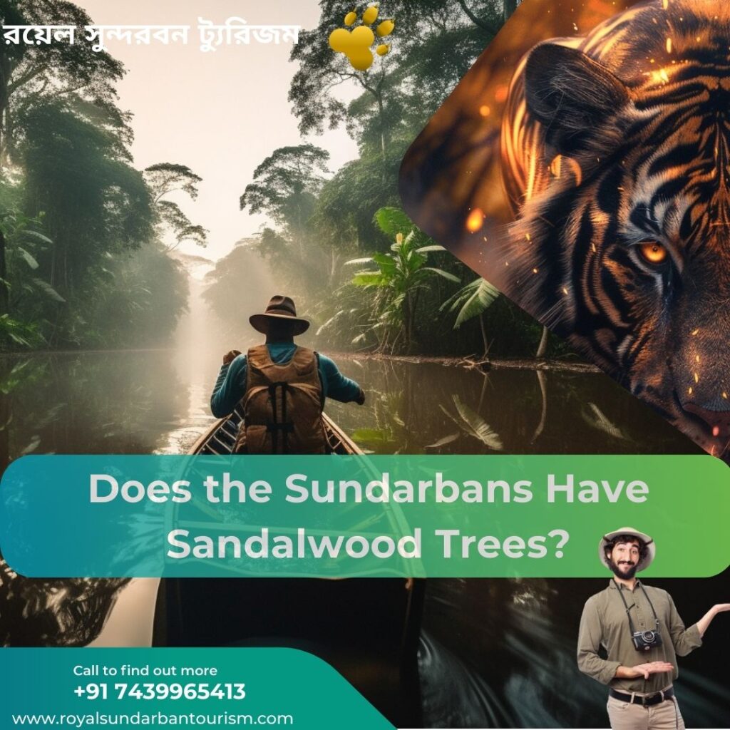Sandalwood Sundarbans