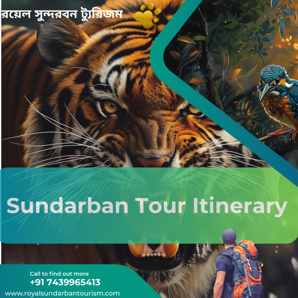 Sundarban Tour Itinerary