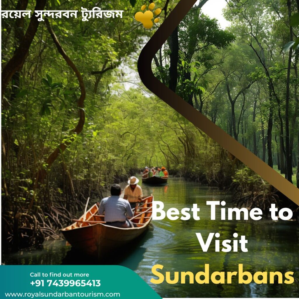 Sundarbans best season