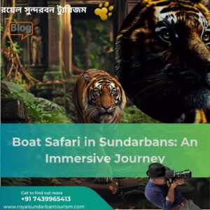 Sundarbans boat safari