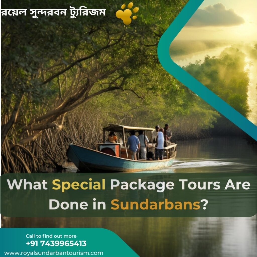 What Special Package Tours Are Done in Sundarbans?