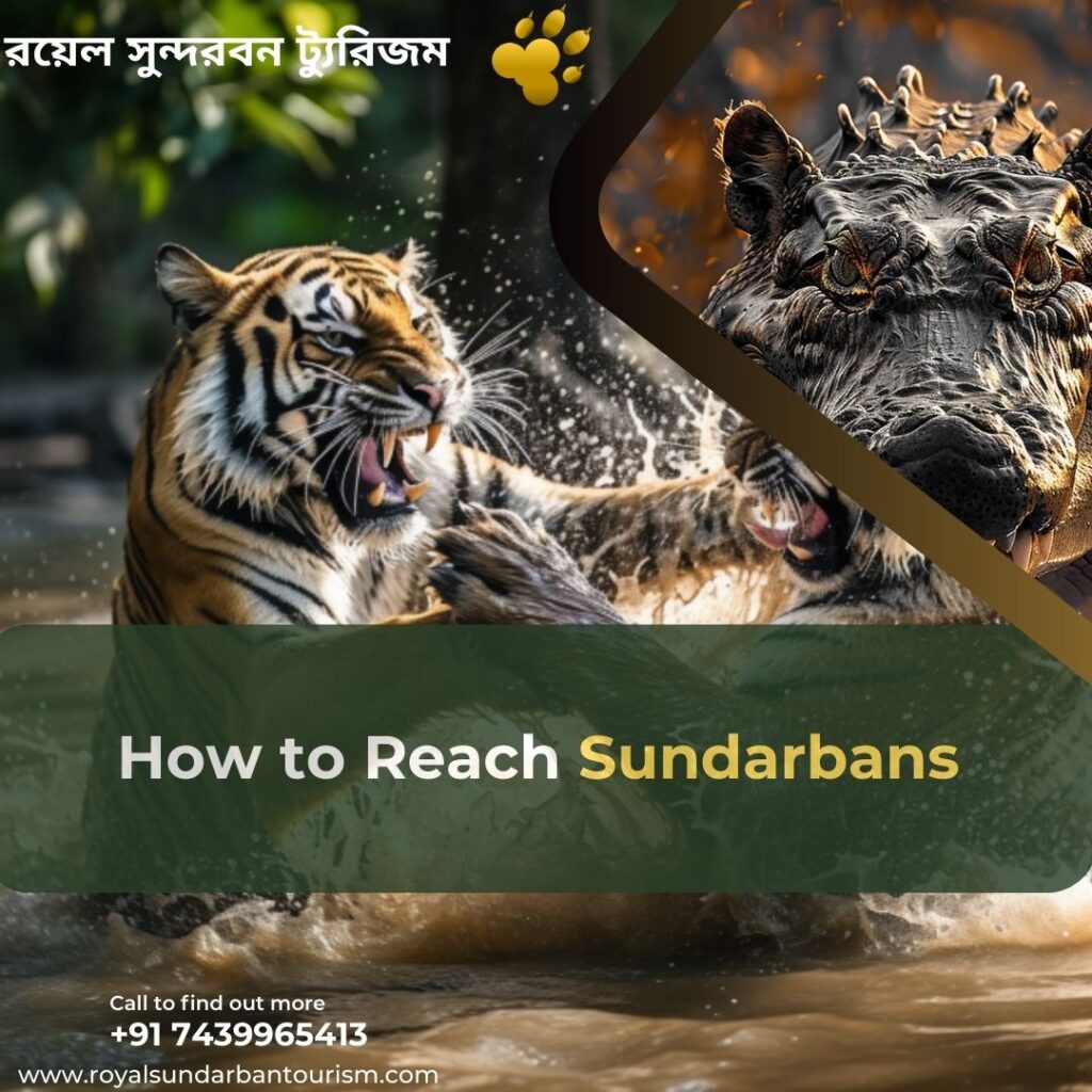 How to Reach Sundarbans: A Comprehensive Guide