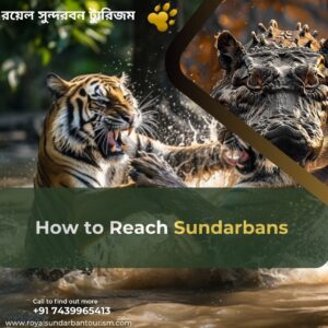 Sundarbans transportation