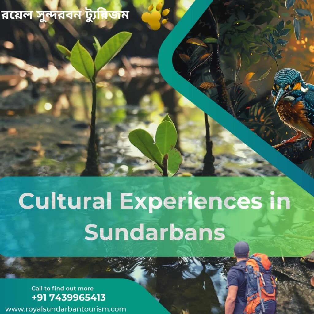 Cultural Experiences in Sundarbans