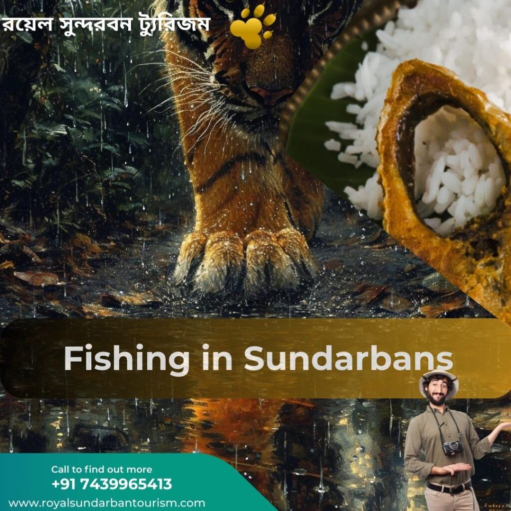 Fishing in Sundarbans