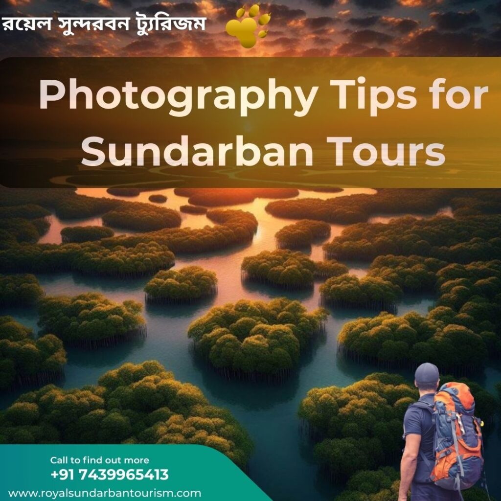 Photography Tips for Sundarban Tours